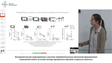 Экспериментальное моделирование