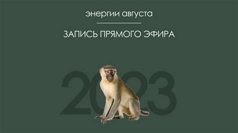 Экспонирование и популяризация металлической обезьяны в 1992 году