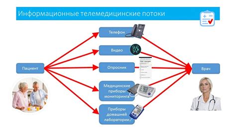 Экспресс-диагностика состояния животного