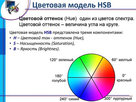 Эстетический вид и разнообразие цветовых оттенков