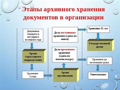 Этапы проведения экспертизы
