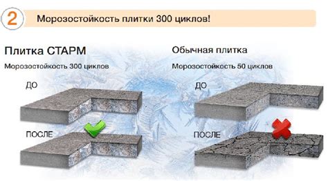 Эффективность использования морозостойкого грунта