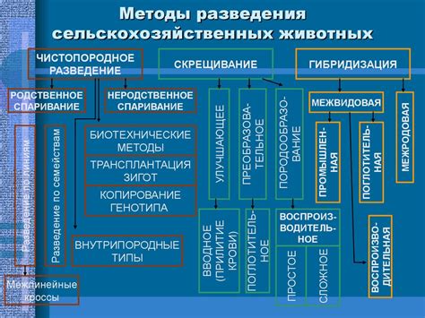 Эффективные методы разведения