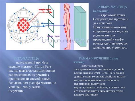 Эффекты радиоактивности на организм