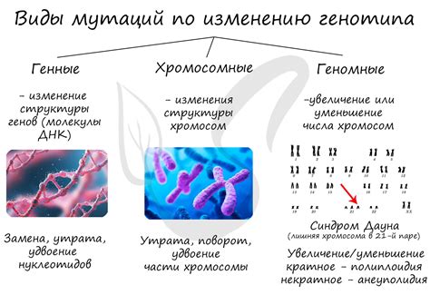 б) Добавление мутаций и уникальных черт