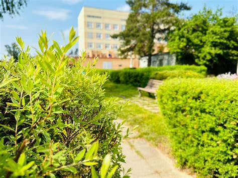 в Первой городской больнице Орехово-Зуево