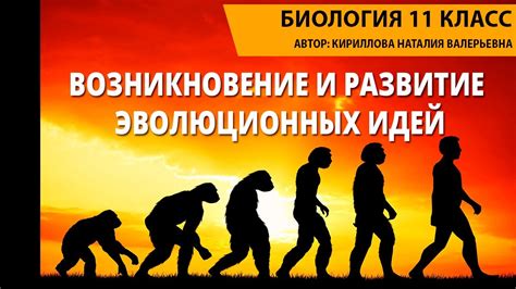  Возникновение и развитие
