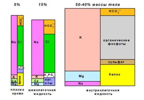  Другие вещества, обнаруживаемые металлоискателем 