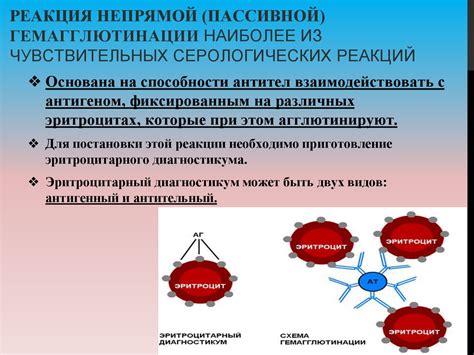  Иммунологические реакции на ксенобиотики 