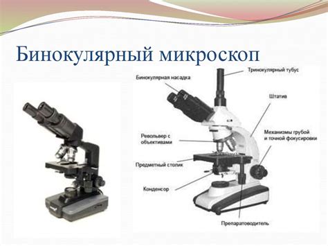  Использование оптического микроскопа 