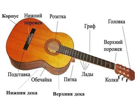  Какие характеристики следует учитывать при выборе гитары для блэк металла 