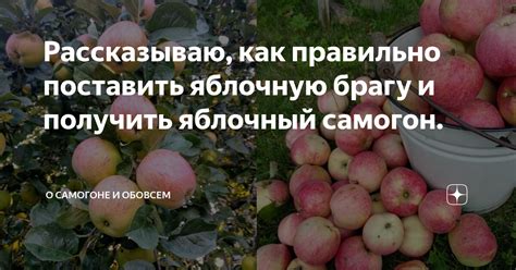  Как яблочный день популяризует яблочную продукцию?