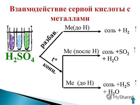  Металлы и концентрированная серная кислота 