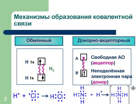  Механизм образования 