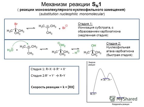  Механизм реакции 