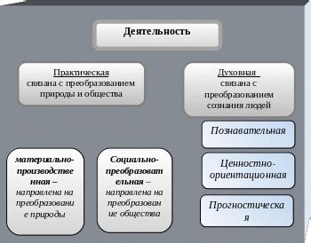  Многообразие видов и производителей 