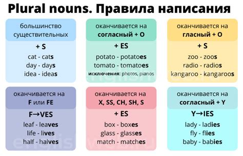  Правила образования множественного числа металлов 