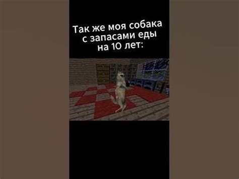  Причины смерти собаки в Minecraft 