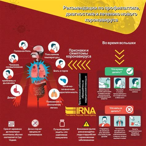  Профилактика и рекомендации 