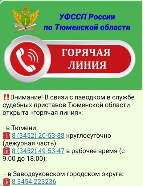  Работает горячая линия мио 