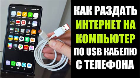  Различные способы получения доступа к интернету и телефону в Пушкине 