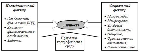  Риски и факторы развития