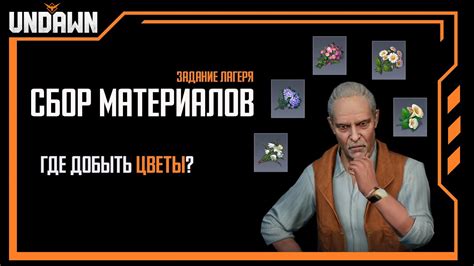  Сбор материалов 