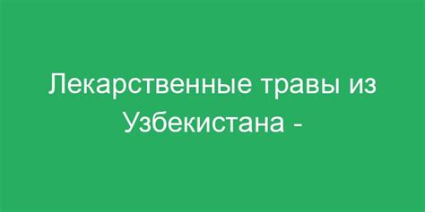  Современные исследования и перспективы использования 