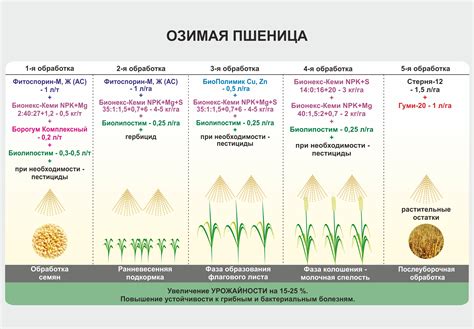  Список айди семян пшеницы 