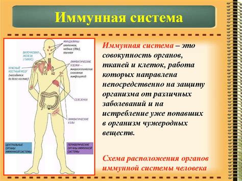 2. Используйте защитные барьеры