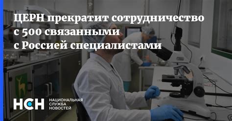 5. Сотрудничество с опытными специалистами