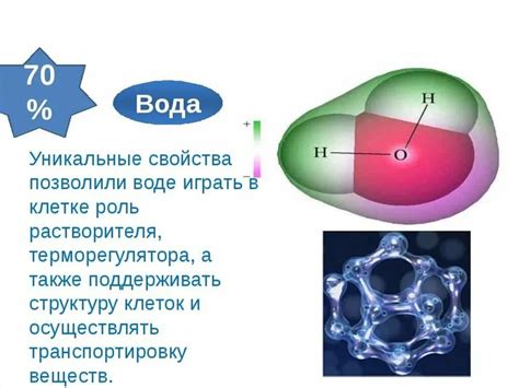 p6 3d10: химический состав и структура